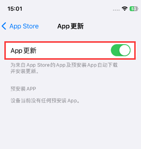 应县苹果15维修中心如何让iPhone15APP自动更新